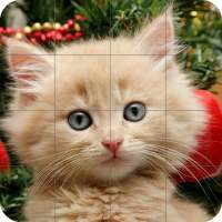 Tile Puzzle Cats