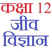 Class 12 Biology Notes &amp; Solutions (in hindi) icon