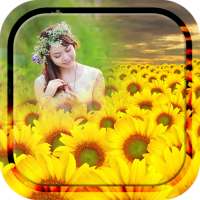 Sunflower Photo Frames on 9Apps