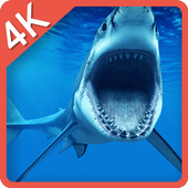 Shark Predator Attack LWP icon