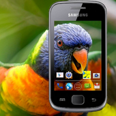 Looking Through Phone أيقونة