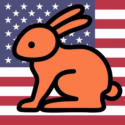 USA VPN - FREE icon
