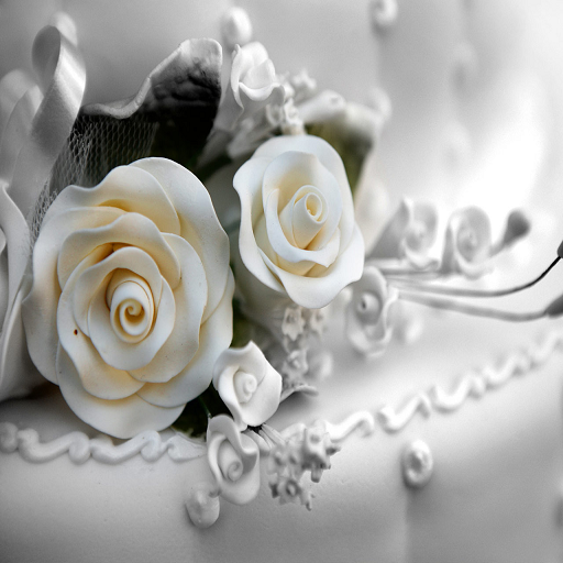 My Dream Wedding icon