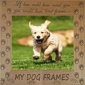 MY DOG FRAMES on 9Apps