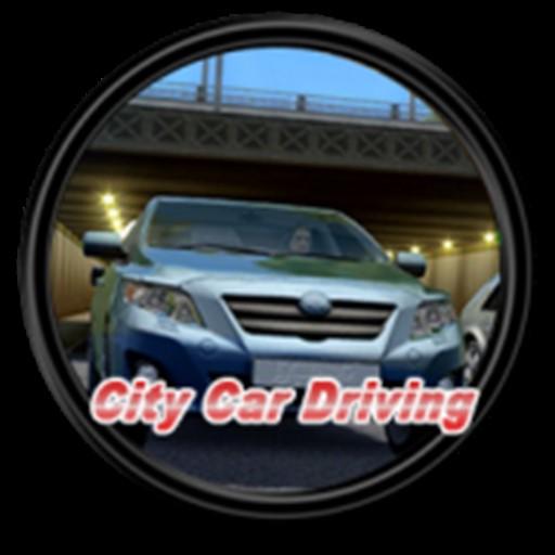 City Driving icon