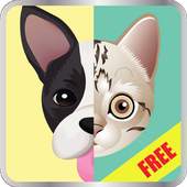 Dog Breed, Cat Breed Quiz icon