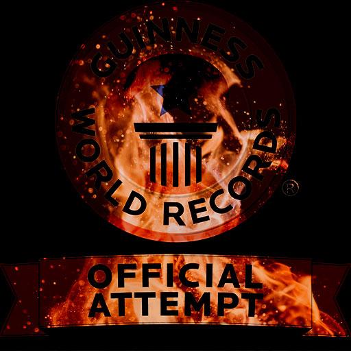 Guinness World Record List icon