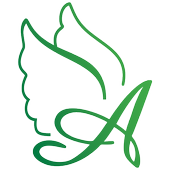 Angel Binary Mobile Security icon