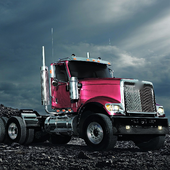 Themes International PayStar icon