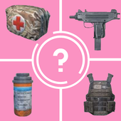 Remo Quiz for Battle Royale Games pubg icon