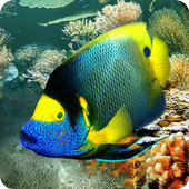 Tropical Fish live wallpaper icon