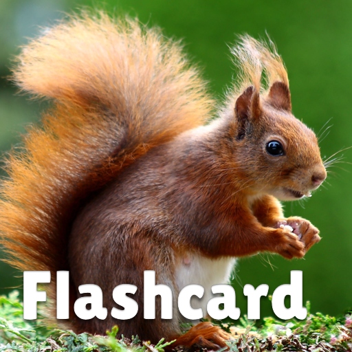 Animal flashcard &amp; sounds for kids &amp; toddlers icon