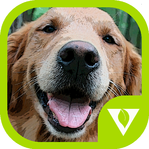 Dogs Puzzles icon