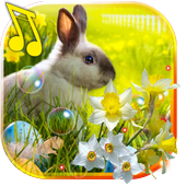 Easter Bunny live wallpaper icon