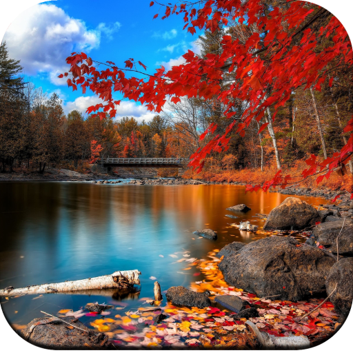 Beautiful Wallpaper 4K icon