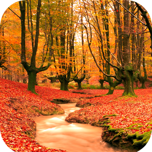 Autumn Wallpaper HD icon