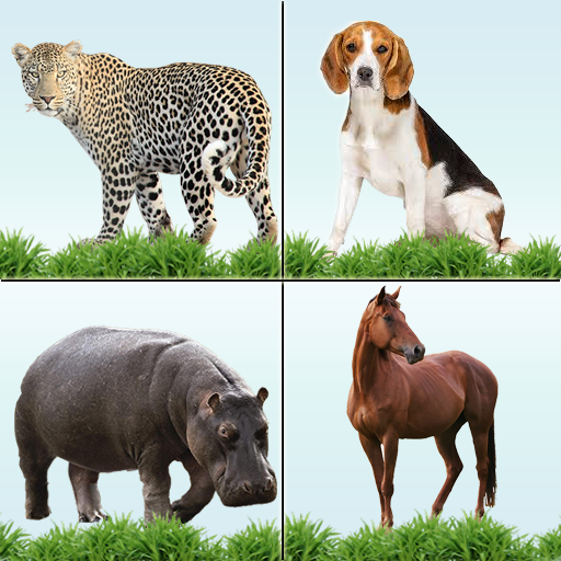 Animal Memory Matching Game иконка