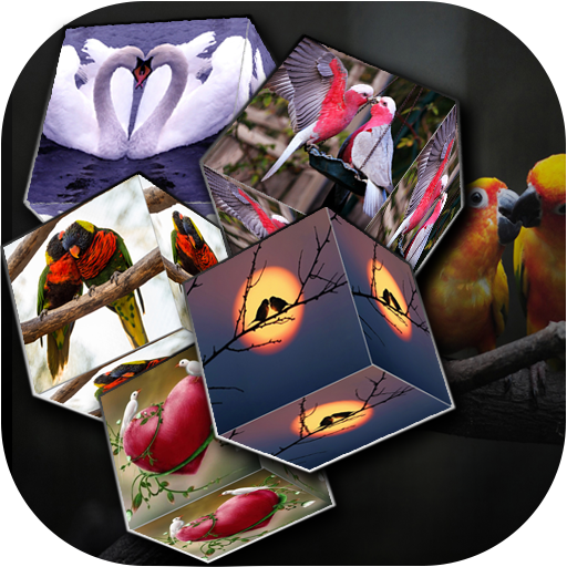 Love Bird cube live wallpaper иконка