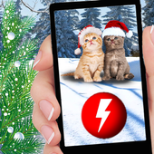 Pocket Christmas Cats icon