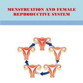 MENSTRUATION SYSTEM icon