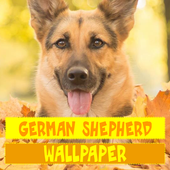 German Shepherd Dog Wallpaper icon