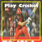 Play Cricket icon