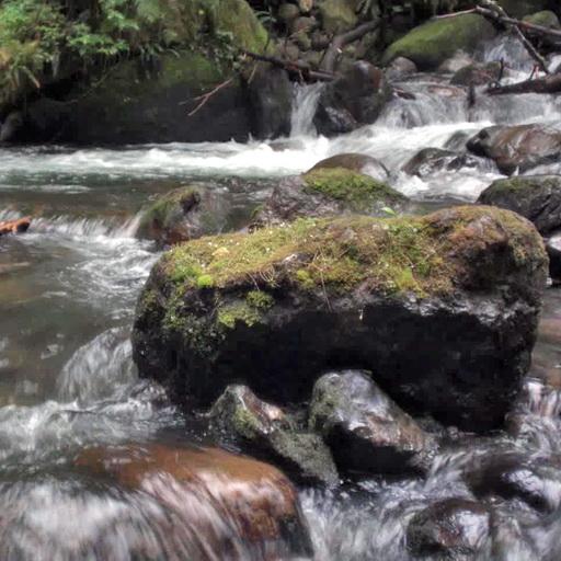 Water and stone live wallpaper icon