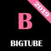 Bigtube VPN - Original Free VPN