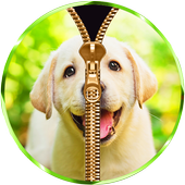 Cute Puppy Zipper Lock Screen icon