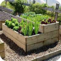 Vegetable Garden Ideas