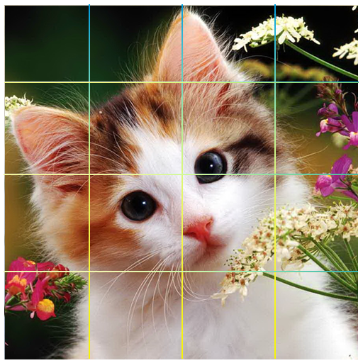 Puzzle Cute Cats icon