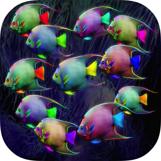 Fish HD Wallpaper icon