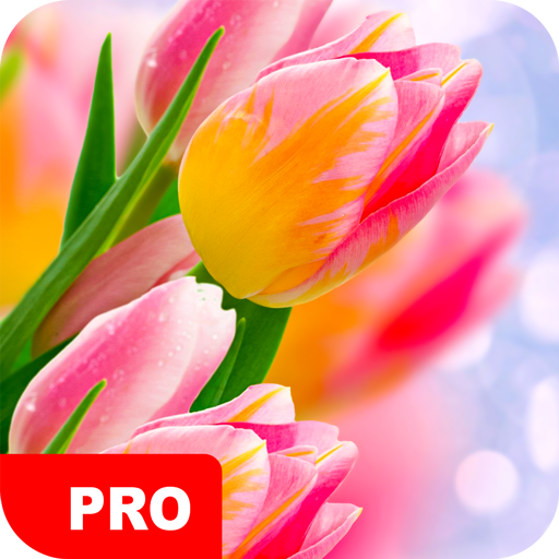 Tulip Wallpapers PRO icon