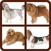 Guess the Dog Breed icon