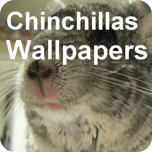 HD Chinchilla Wallpapers and image editor icon