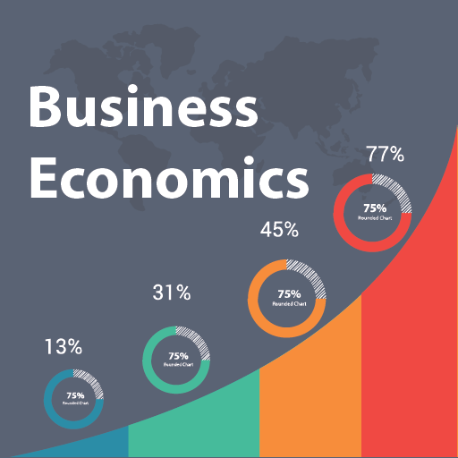 Business Economics icon