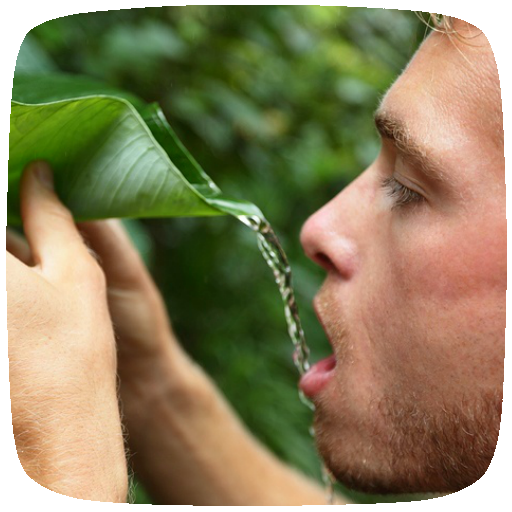 Wilderness Survival Skills Guide icon