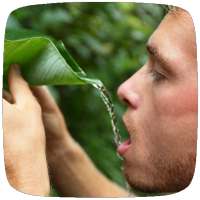 Wilderness Survival Skills Guide on 9Apps