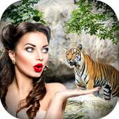 Wild Animal Photo Backgrounds on 9Apps