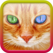 Guess He or She icon