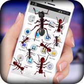 Ants on screen on 9Apps
