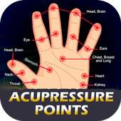 Acupressure Body Points [YOGA]