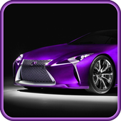 Car Simulation icon