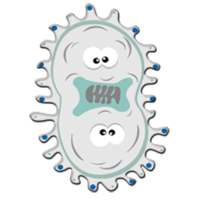 PIPA (Protista) on 9Apps