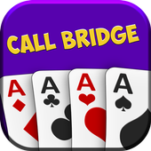 Call Bridge icon