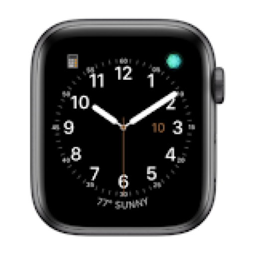 Apple Watch icon
