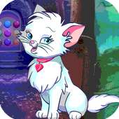 Best Escape Game 565 Find Angry Cat Game