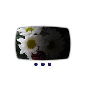 The Exposing Camera - Free icon