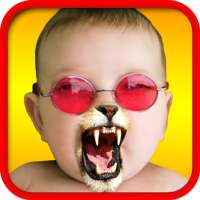 Face Fun - Photo Collage Maker on 9Apps