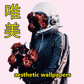 aesthetic wallpaper HD icon